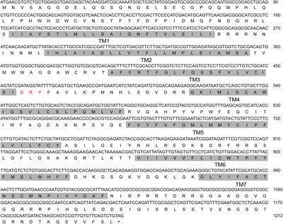 Adipokinetic Hormone Receptor Mediates Lipid Mobilization to Regulate Starvation Resistance in the Brown Planthopper, Nilaparvata lugens